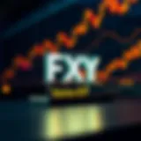 Understanding the Structure of FXY ETF Visual representation of the FXY ETF structure