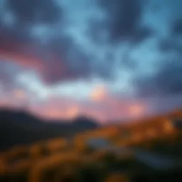 Dynamic organizational change landscape