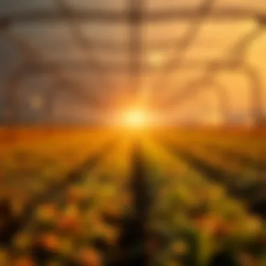 Strategic roadmap for maximizing returns in yield farming investments