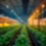 Conceptual illustration of yield farming principles in decentralized finance