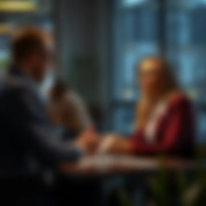 Expert Tax Consultation Tax professional advising client