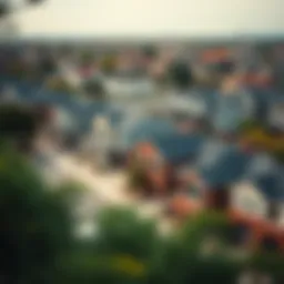 An aerial view of properties managed by Realty Executives showcasing diverse rental options.