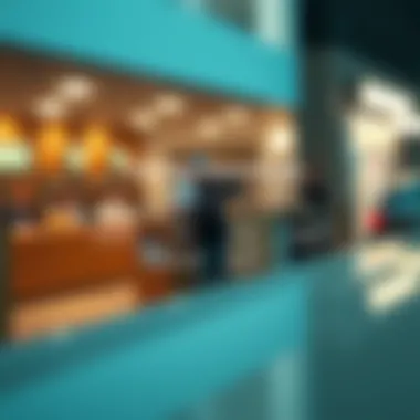 Alternatives to Overdrafts A diagram outlining alternatives to overdrafts