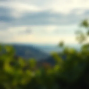 Scenic Landscape Symbolizing Travel Aspirations A scenic landscape representing travel dreams and aspirations.