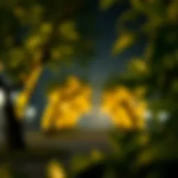 Overview of the Wisdom Tree India ETF investment strategy